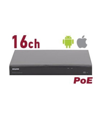 RK2216-P. Видеорегистратор IP 16-канальный. Beward в Перми