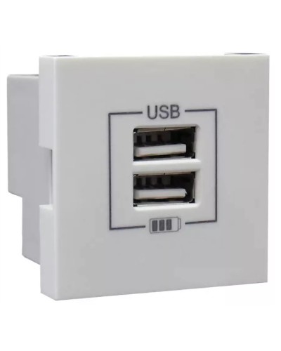 Розетка USB двойная, зарядная, белая (45439 SBR): Розетка USB двойная в Перми
