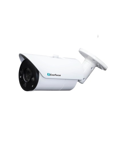EZN-268V. Видеокамера IP купольная. EverFocus в Перми