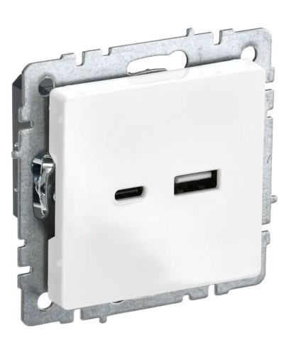 Розетка USB A+C 18Вт РЮ11-1-БрБ белый BRITE (BR-U22-018-K01). Розетка USB. IEK в Перми