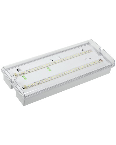 Светильник аварийный ДПА 5042-1 1ч IP65 LIGHTING (LDPA0-5042-1-65-K01). Светильник аварийный универсальный. IEK в Перми