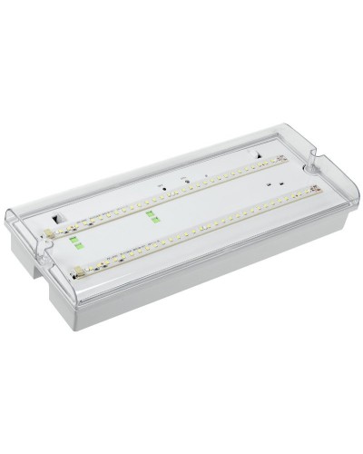 Светильник аварийный ДПА 5042-3 3ч IP65 LIGHTING (LDPA0-5042-3-65-K01). Светильник аварийный универсальный. IEK в Перми