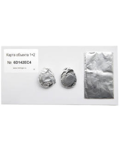 Карта объекта 1+2. Проксимити карта. IronLogic в Перми