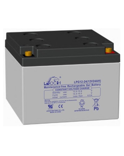 LEOCH LPG 12-24. Аккумулятор герметичный свинцово-кислотный. LEOCH в Перми