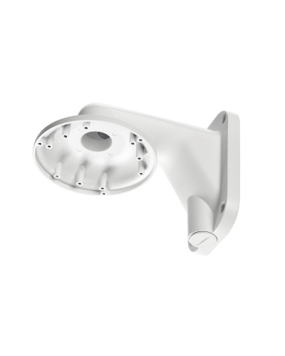 RVi-1BWM-5 white. Кронштейн настенный. RVi в Перми