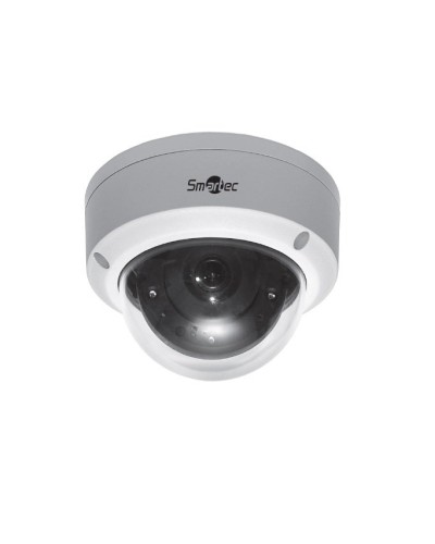 STC-IPMA5520A/1. Видеокамера IP купольная. Smartec в Перми
