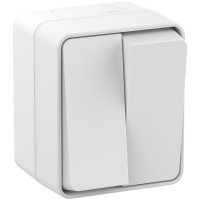 AtlasDesign PROFI54 выключатель 2-клавишный, открытой установки, белый (ATN540151). Выключатель. Systeme Electric