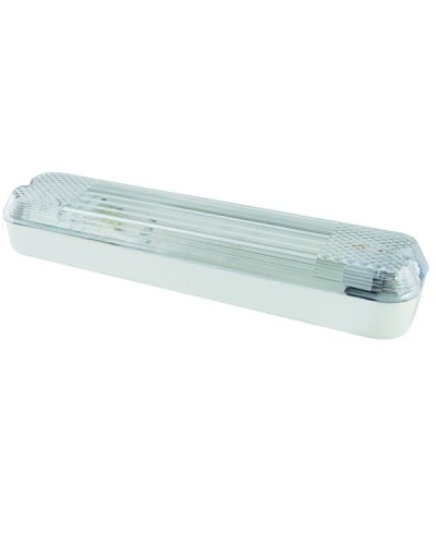 ДПБ 01-2х6-001 12 Вт, LED, 1000 лм, 4000 К, IP40. Светильник вандалоустойчивый . TDM ЕLECTRIC в Перми