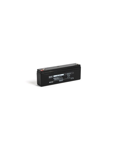 SKAT SB 12022 (2539). Аккумулятор герметичный свинцово-кислотный. Бастион в Перми