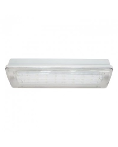 SL-223-30LED1.8 исп. 1, IP65. Светильник аварийного освещения. ИП Раченков А.В. в Перми
