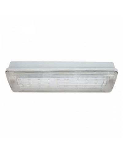 SL-213-30LED1.8 исп.1 IP54. Светильник аварийного освещения. ИП Раченков А.В. в Перми