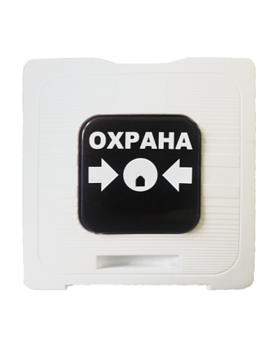ИР 513-10 ОХРАНА (белый). Элемент дистанционного управления. Рубеж в Перми