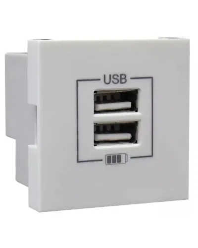 Розетка USB двойная, зарядная, белая (45439 SBR): Розетка USB двойная в Перми