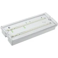 Светильник аварийный ДПА 5042-1 1ч IP65 LIGHTING (LDPA0-5042-1-65-K01). Светильник аварийный универсальный. IEK