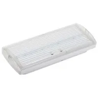 Светильник аварийный ДПА 5030-3 3ч IP20 LIGHTING (LDPA0-5030-3H-K01). Светильник аварийный постоянного действия. IEK