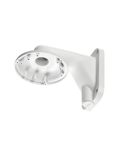 RVi-1BWM-5 white. Кронштейн настенный. RVi в Перми