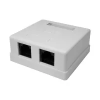 Розетка настенная RJ-45, 8P8C, Cat.6, 2 порта UTP (10-0310): Компьютерная розетка