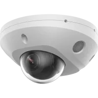 F-IC-2542C2MS(2.8мм). Бюджетная IP-видеокамера купольная. i-FLOW